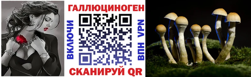 Псилоцибиновые грибы ЛСД  где продают   Красноярск 